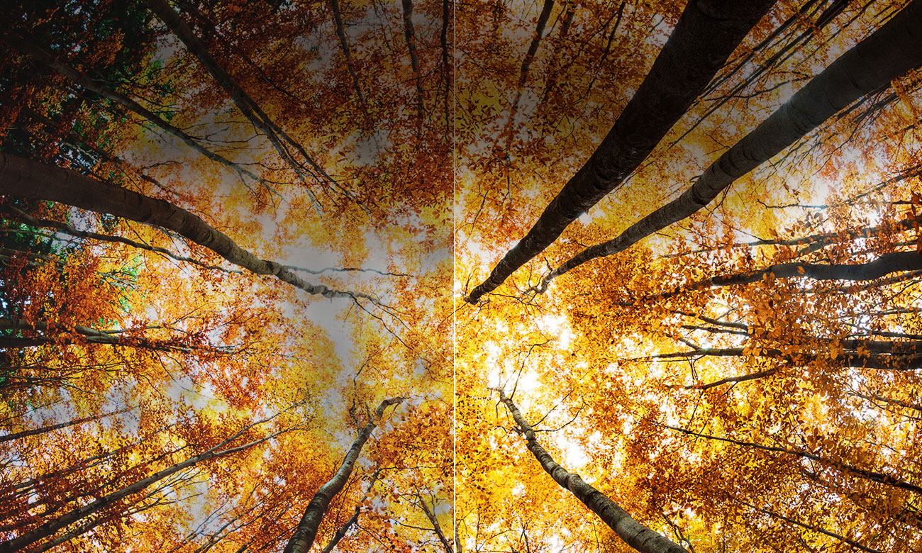 Lepszy kontrast w telewizorze LG 50UK6750