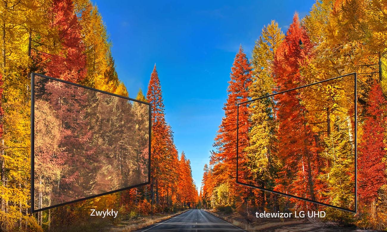 Sztuczna inteligencja i polecenia głosowe w TV LG 43UK6300