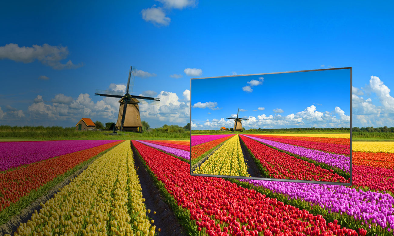 HDR w telewizorze Panasonic