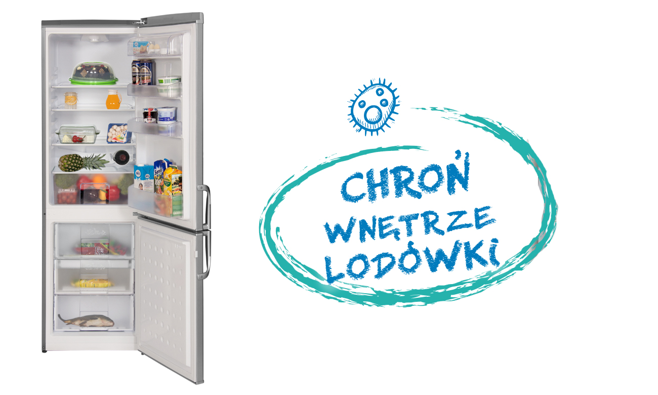 Świeżość, dzięki uszczelce antybakteryjnej w lodówce Beko CSA29022X