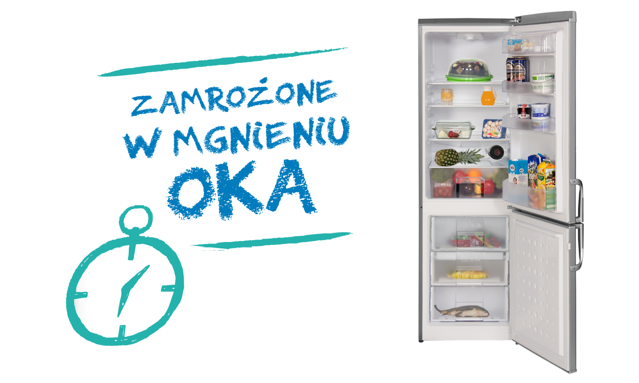 Komora szybkiego mrożenia w lodówce Beko CSA29022X