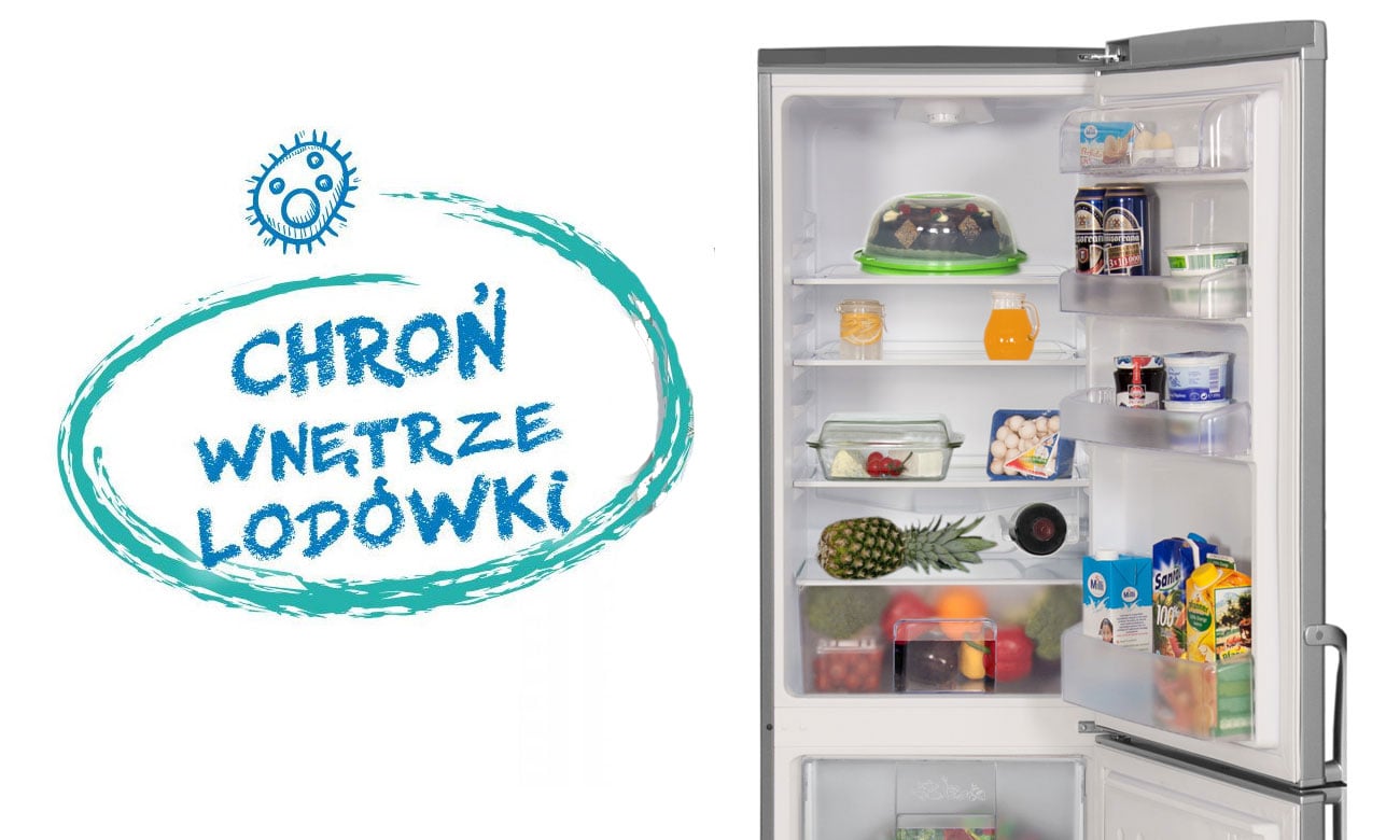 Uszczelka antybakteryjna w lodówce Beko CSA29025X