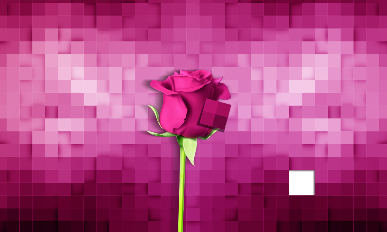 Bogactwo kolorów w telewizorze LG 55UH6157