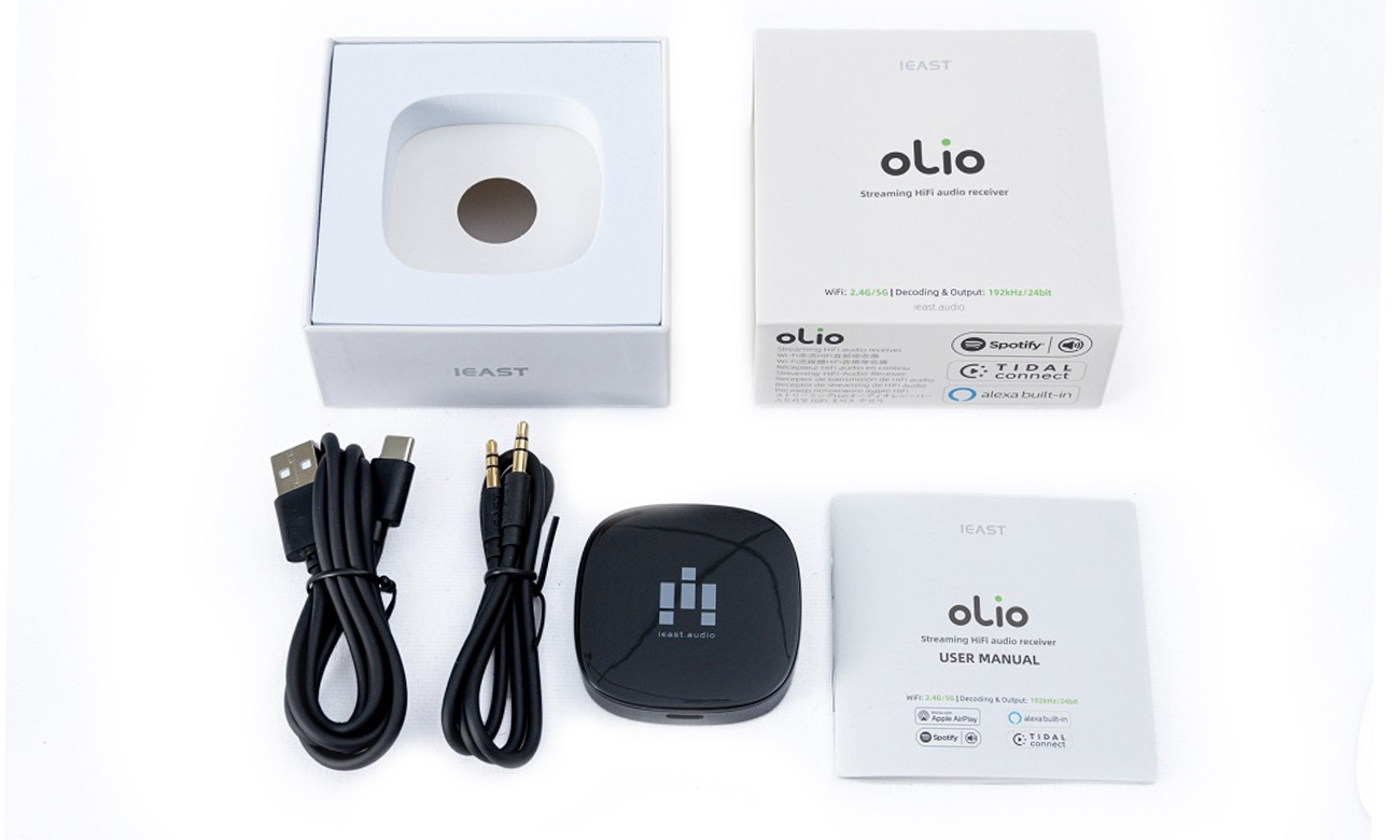 Odbiornik audio IEAST OlioStream 1