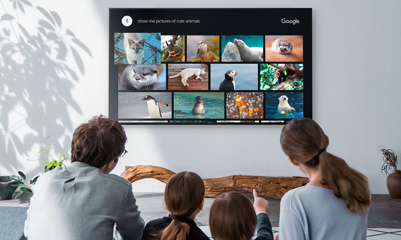 Telewizor OLED Sony KD-55AF8 z Android TV