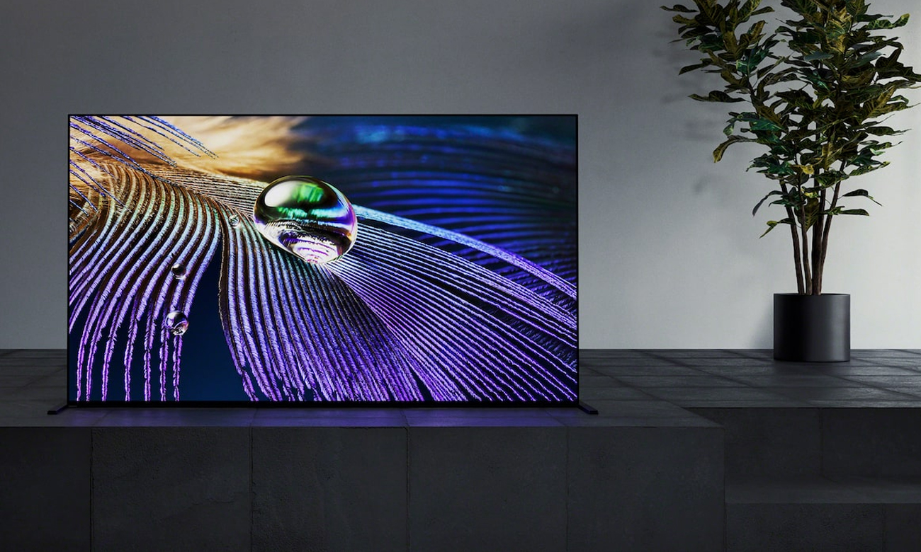 Idealne odwzorowanie kolorów na ekranie Sony XR-65A90J