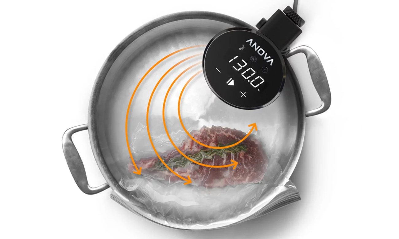 Anova Precision Cooker