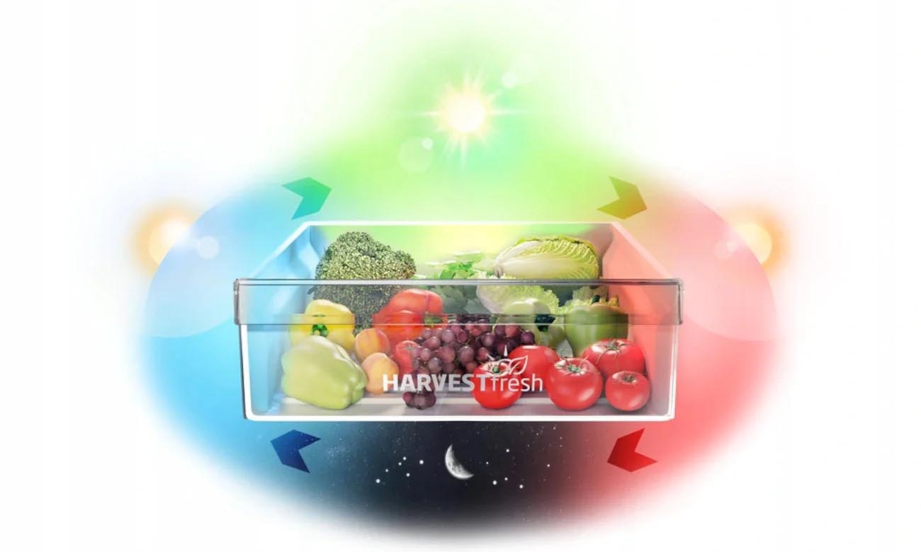 HarvestFresh Beko BCNA306E3SN