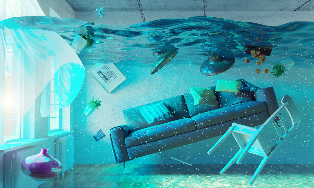 watersafe w Beko DIS1520N