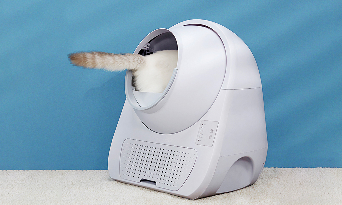 CatLink Scooper Young Version