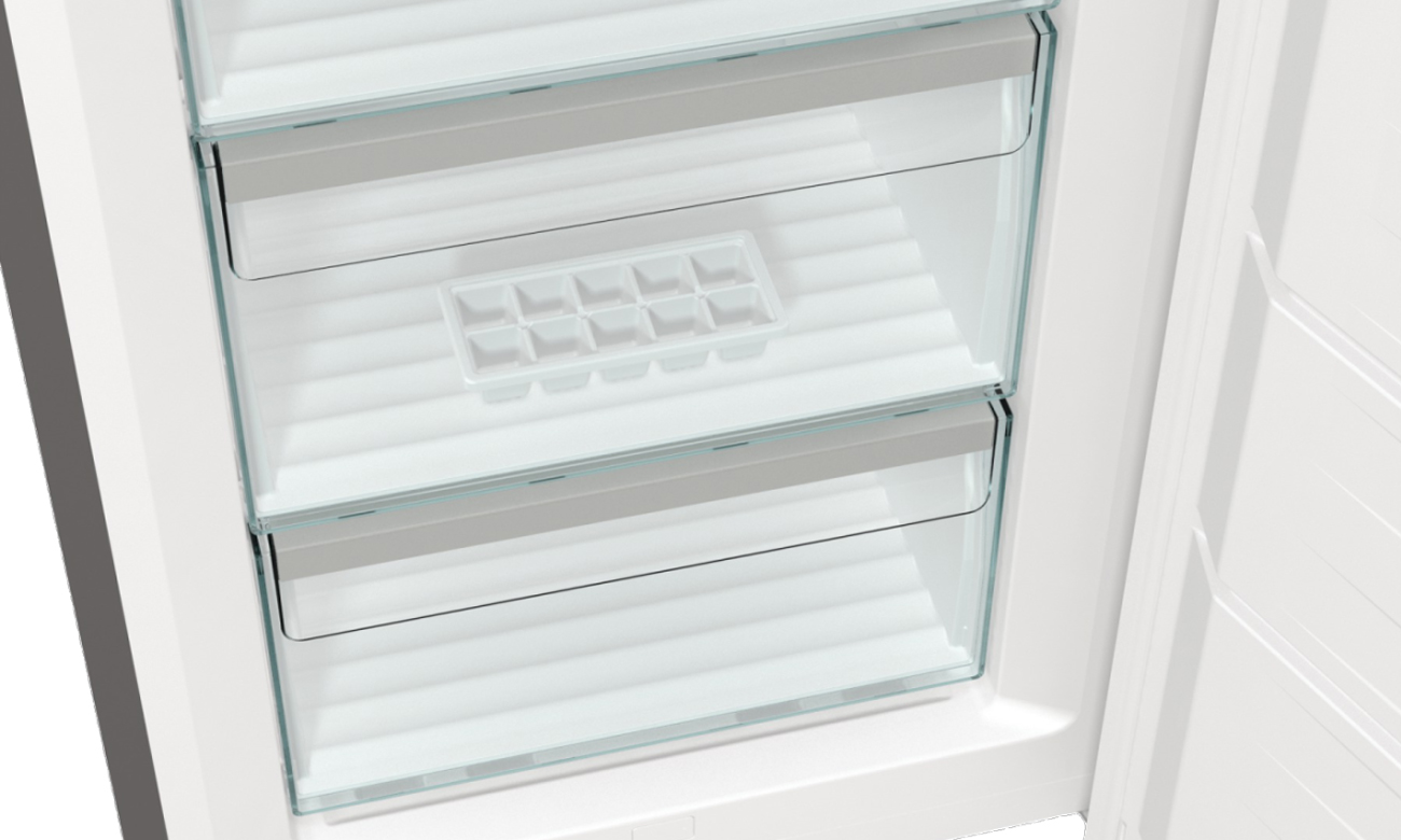gorenje FN619EAXL6 z funkcją nofrost plus
