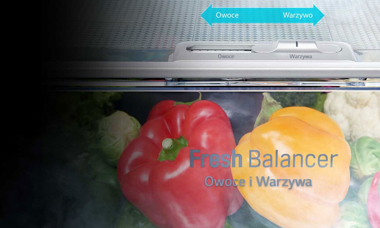 Fresh Balancer w LG GSJ961NSBZ