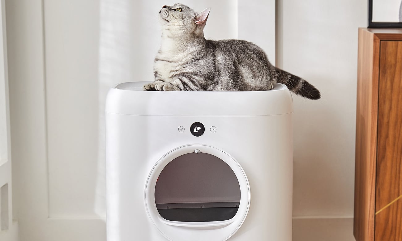 kuweta petkit pure x