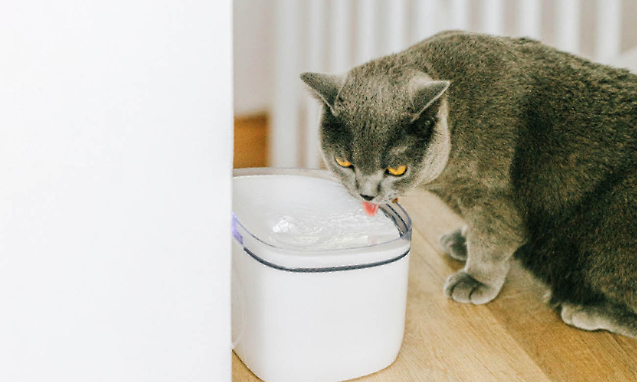 Petoneer Fresco Mini Plus (WIFI) - Sklep komputerowy - x-kom.pl