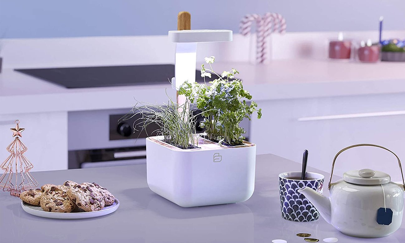 Autonomiczny ogród warzywny Botaneo Eylo