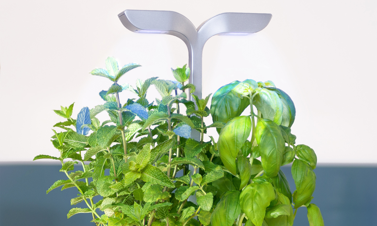 Véritable Exky Smart Arctic White