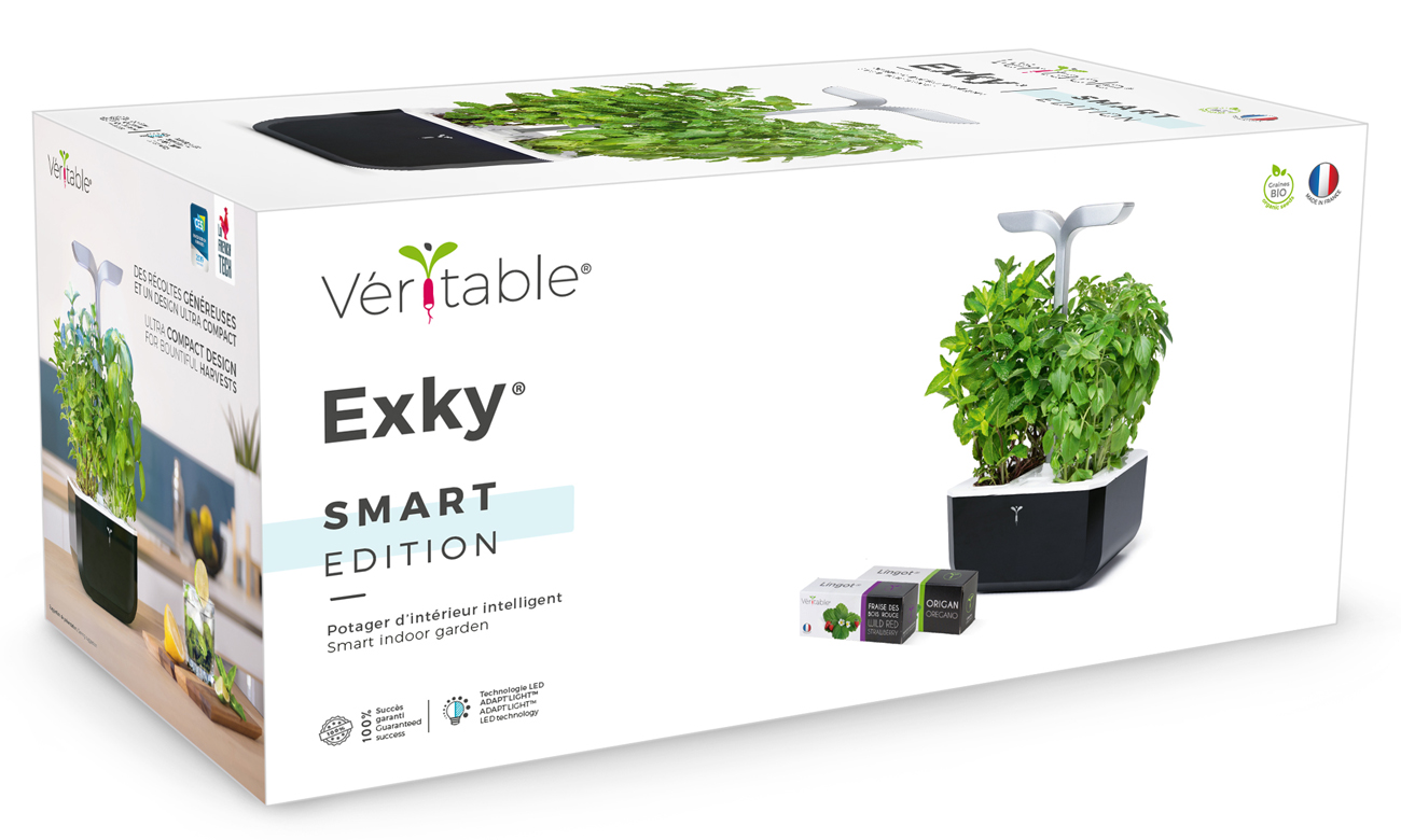 Wkłady Lingot w doniczce Véritable Exky Smart