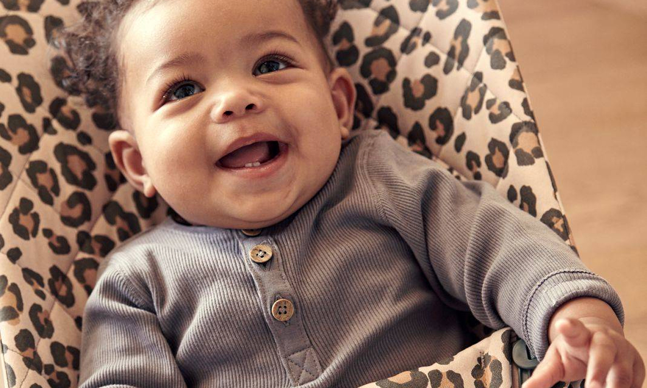 babybjorn bliss