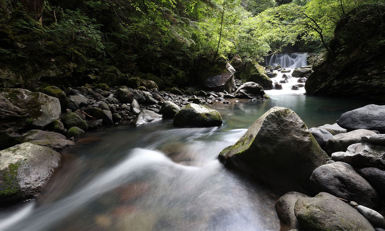 Canon EOS R10 + Obiektyw RF 24mm f/1.8