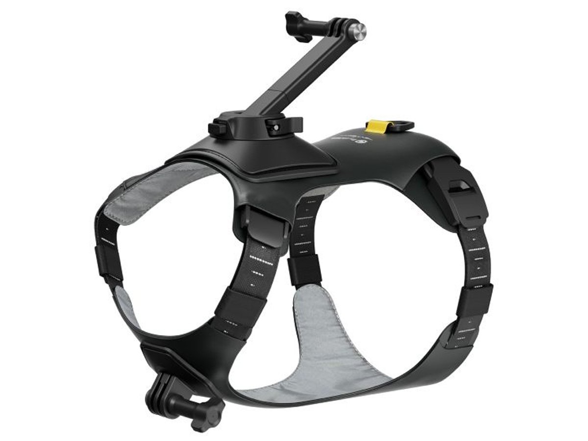 Insta360 GO 3 / GO 3S - szelki dla zwierząt (rozmiar M)