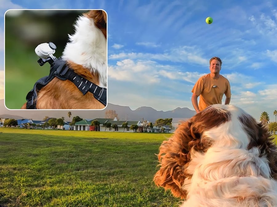 Insta360 GO 3 / GO 3S - szelki dla zwierząt (rozmiar S)