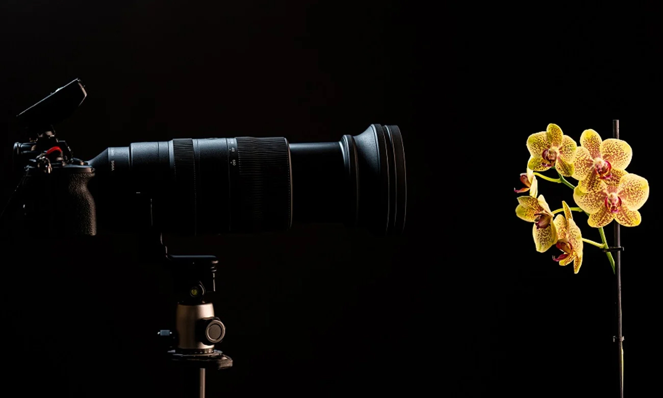 Переваги об'єктива Sigma S 60-600/4.5-6.3 DG DN OS