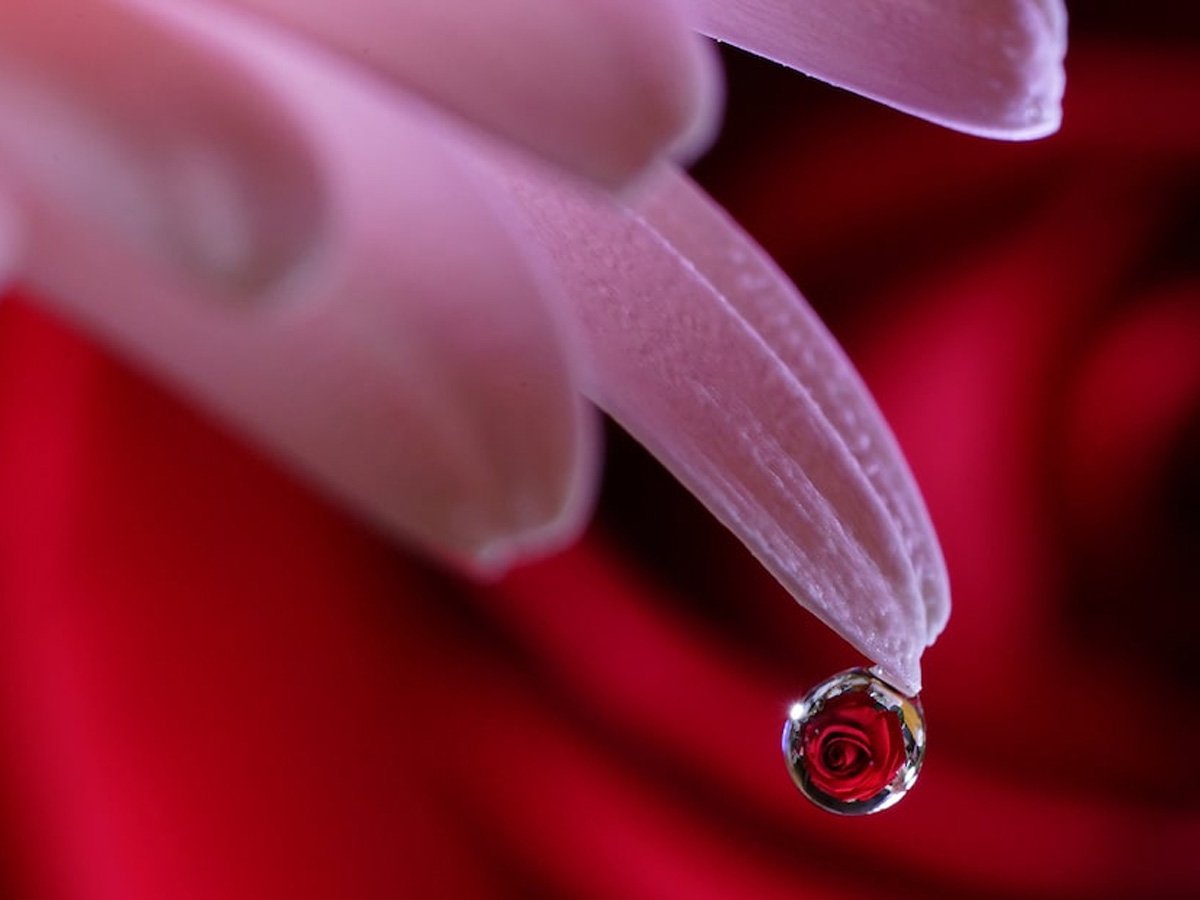 Obiektyw Sony FE 90 mm F2.8 Macro G OSS | SEL90M28G