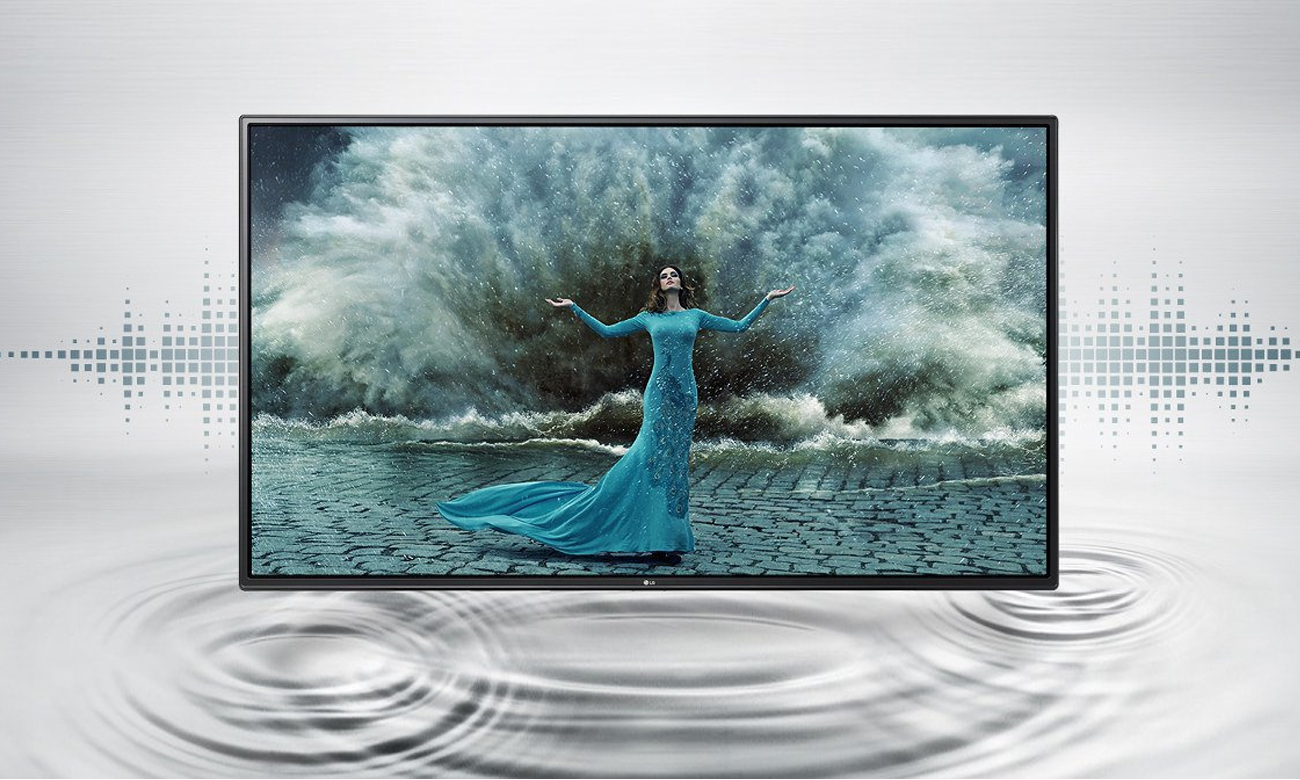 Głośniki w telewizorze LG 43LH570V