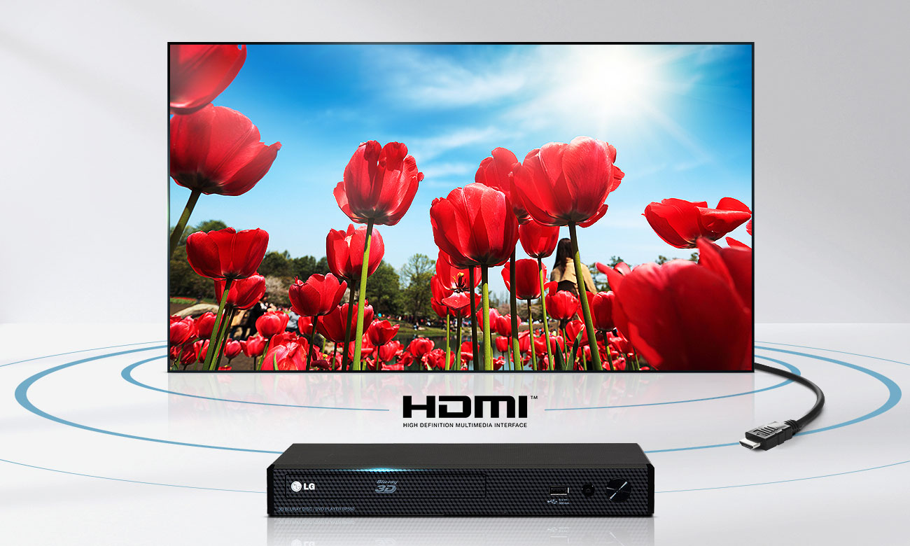 Telewizorz LG 49LJ515V ze złączem HDMI