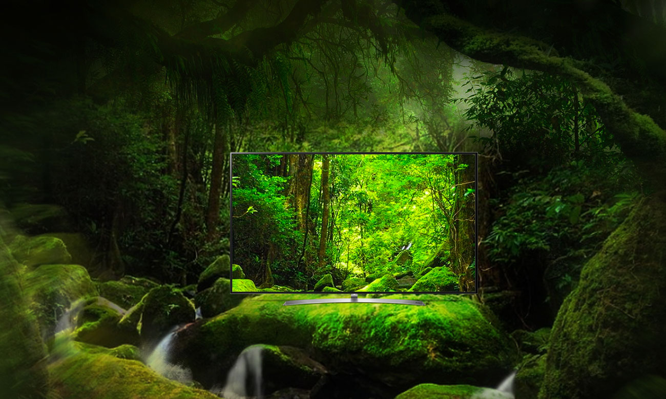 Telewizor 4K LG OLED65C7V z systemem dźwięku DOLBY ATMOS