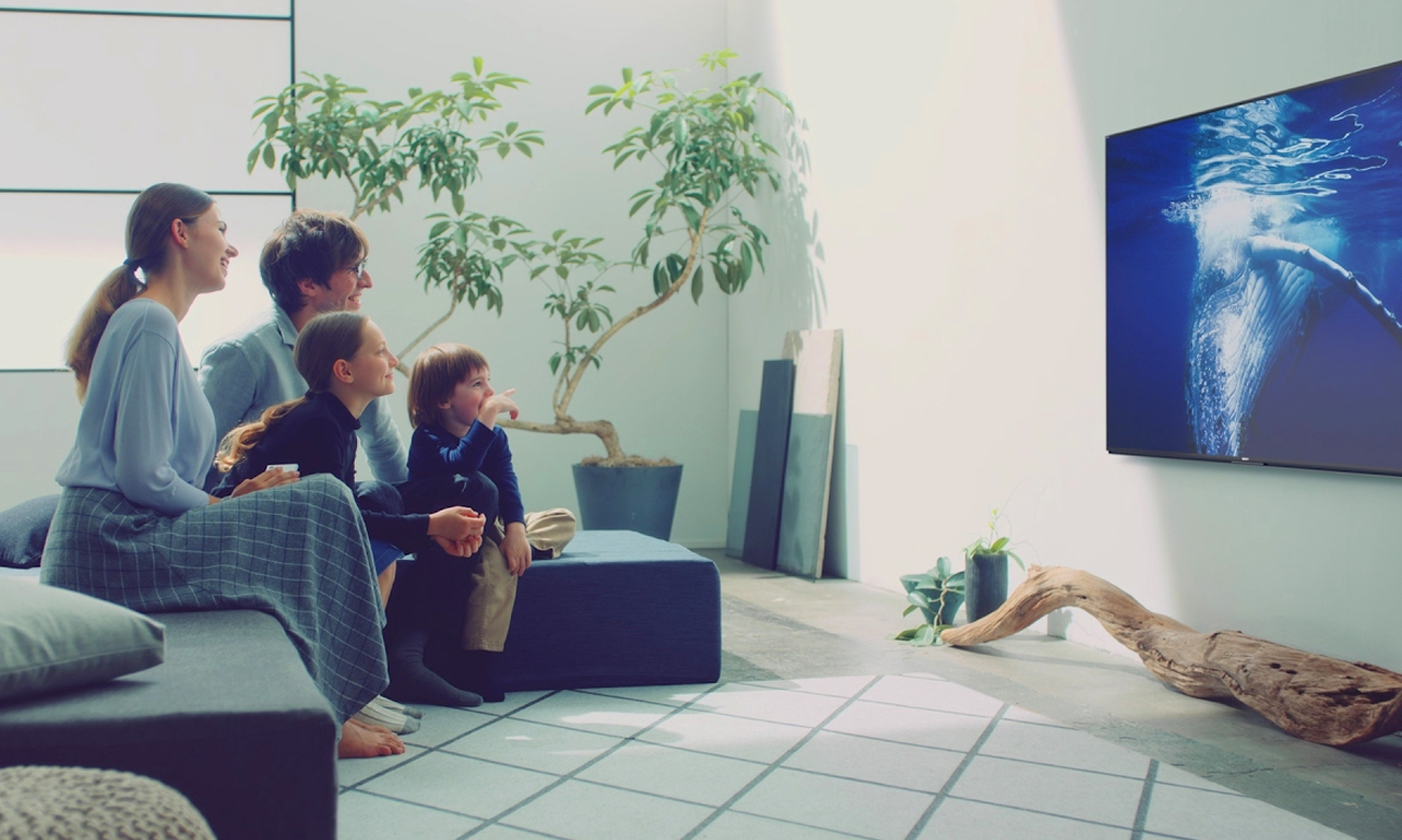 Wyszukiwanie głosowe w telewizorze Sony KD-43XE8005