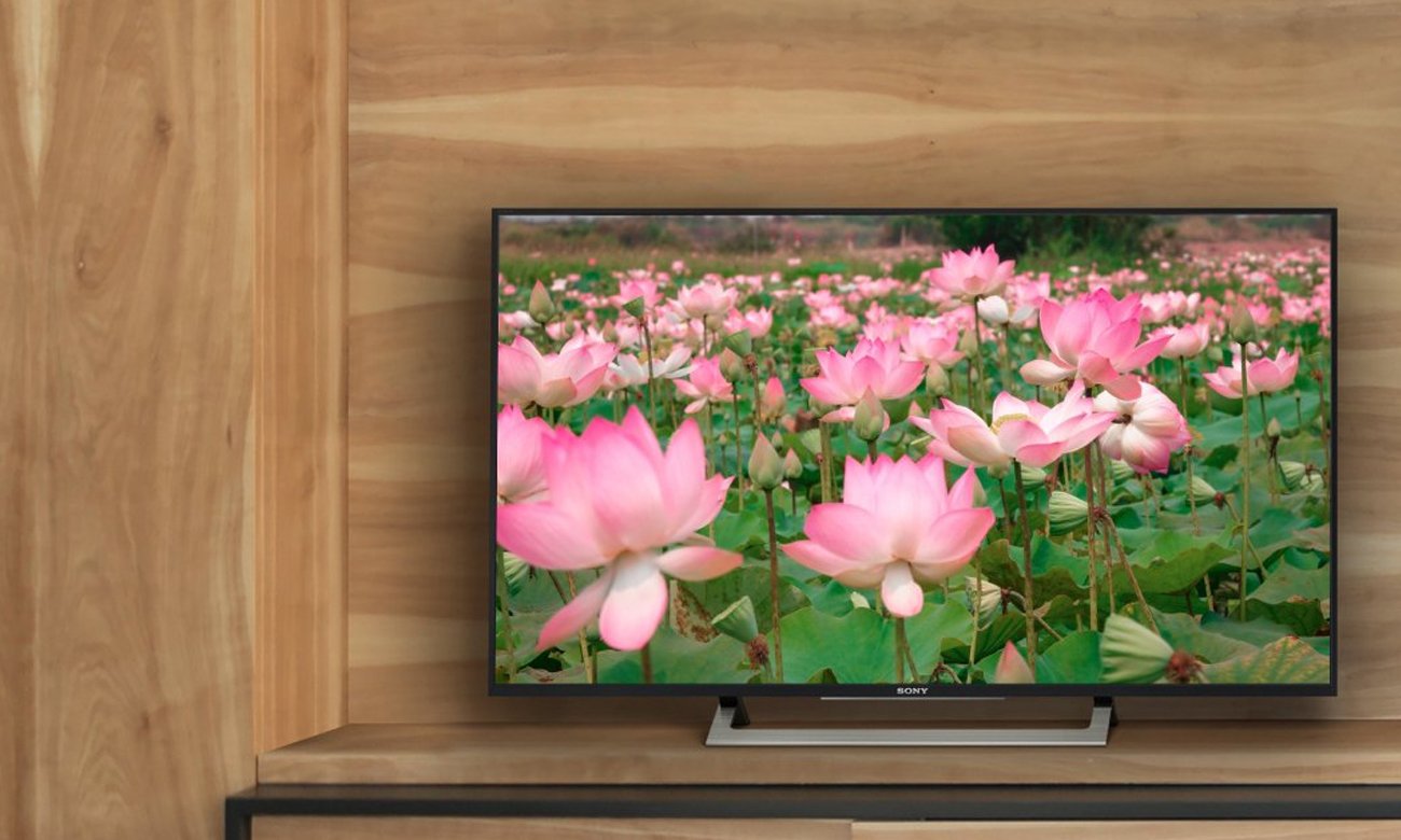 Sterowanie głosowe Sony KD-55XD8005B