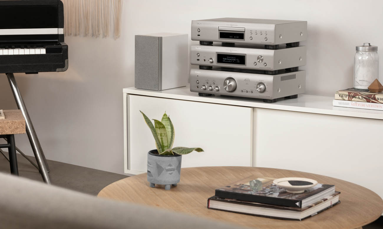 Zaawansowany technologicznie Denon DNP-800NE Silver