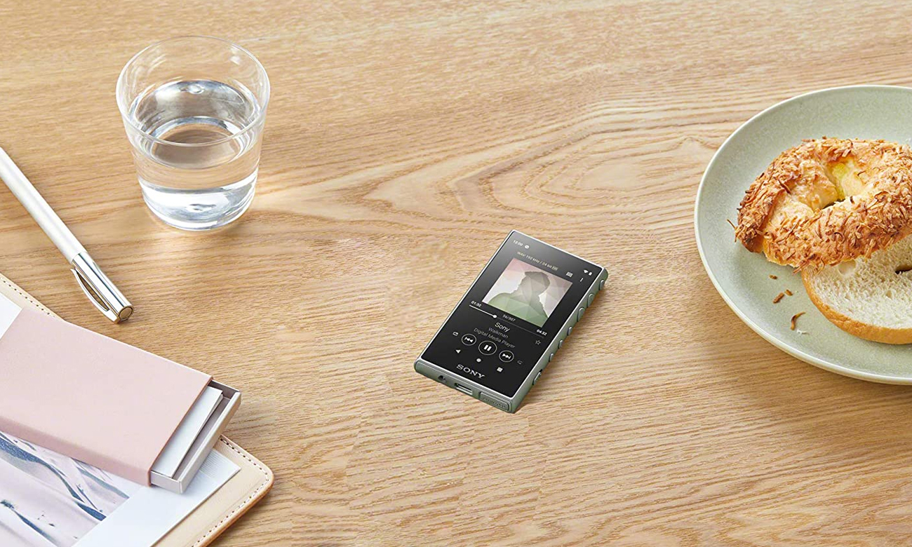 Budowa odtwarzacza audio Sony Walkman NW-A105