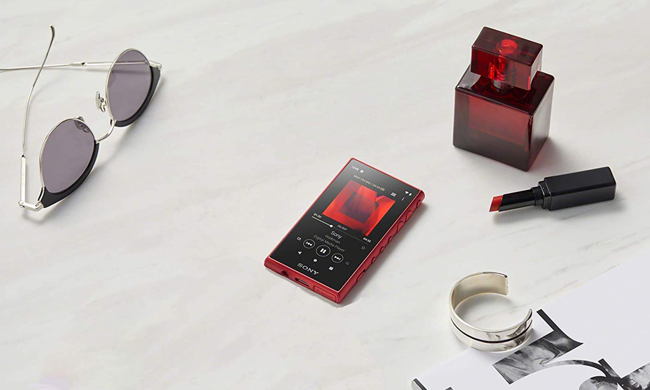 Budowa odtwarzacza audio Sony Walkman NW-A105