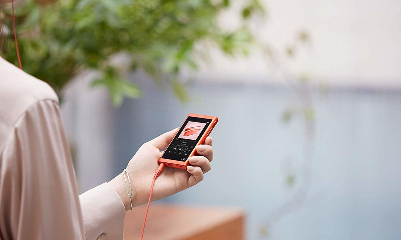 Budowa odtwarzacza audio Sony Walkman NW-A55