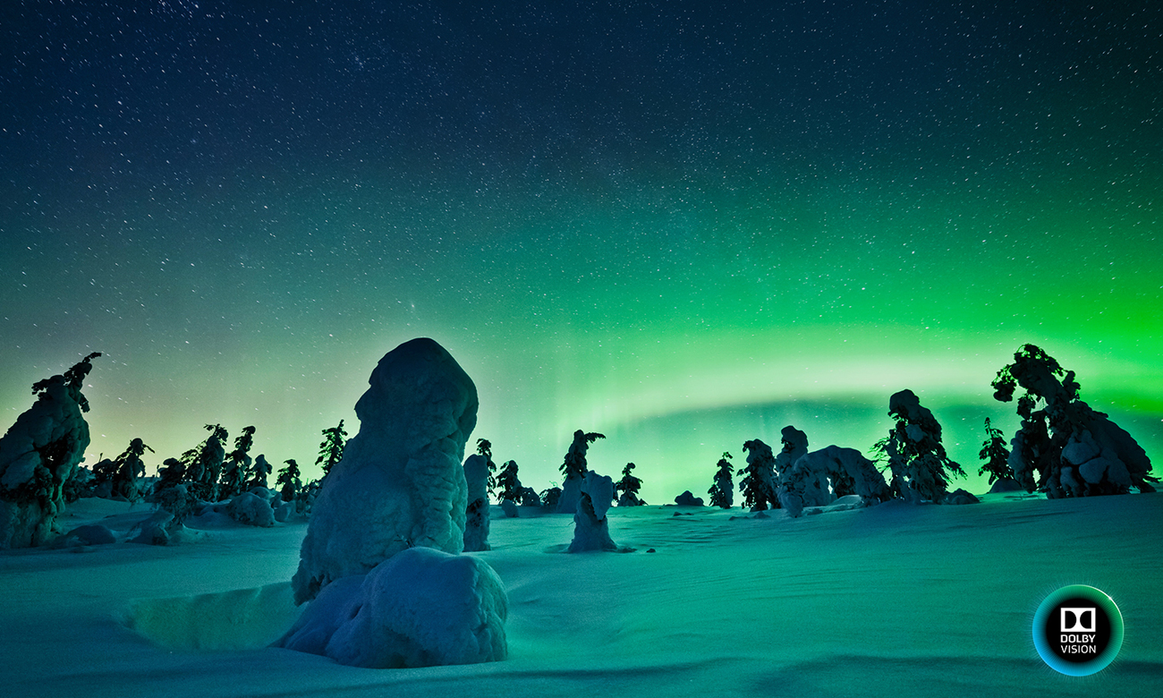 Telewizor LG 65B6V OLED obsługujący technologie Dolby Vision