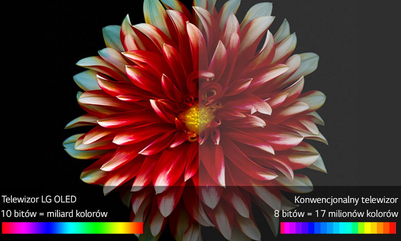 Piękne kolory na ekranie 55 calowego telewizora LG OLED55C7V