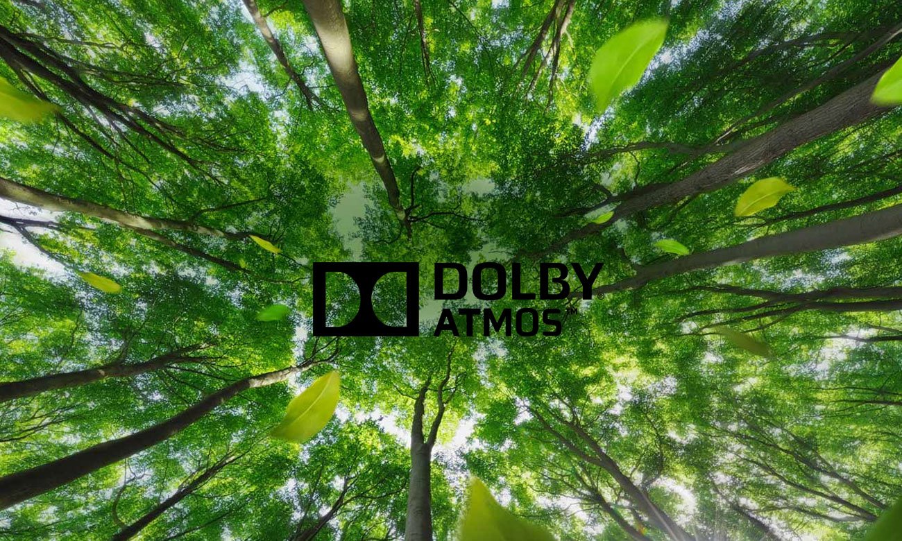 Trójwymiarowy dżwięk w telewizorze LG OLED 55C7V