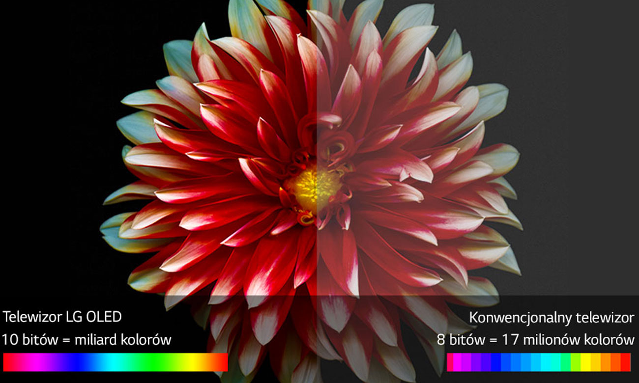 Piękne kolory na ekranie 65 calowego telewizora LG OLED65E7V