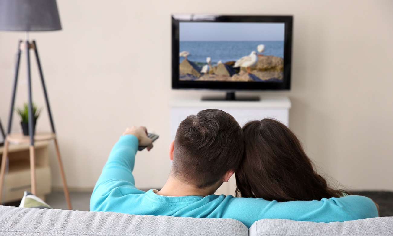 Dźwięk w telewizorze Sharp LC-24CHF4012EW