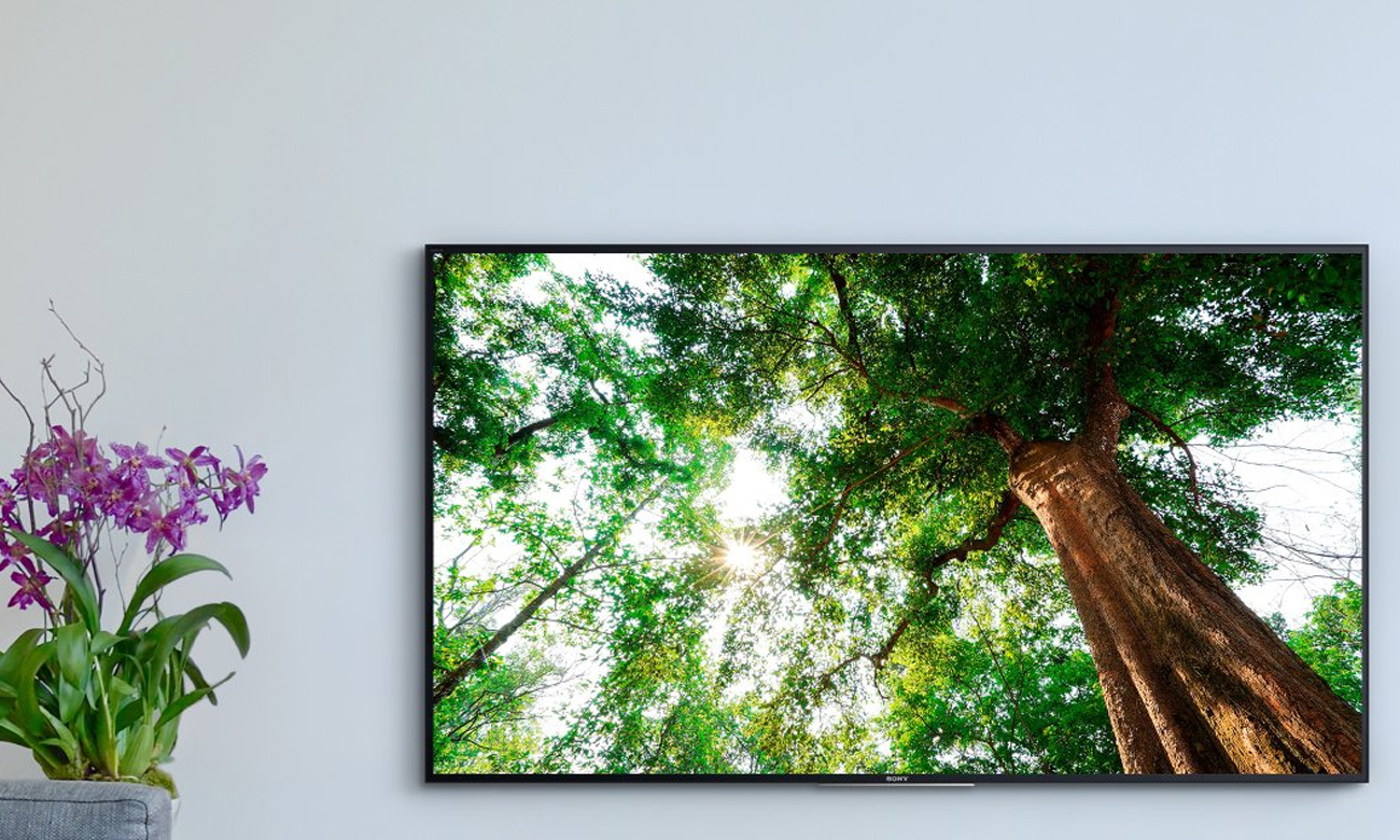 Telewizor UHD Sony KD-49XD8305