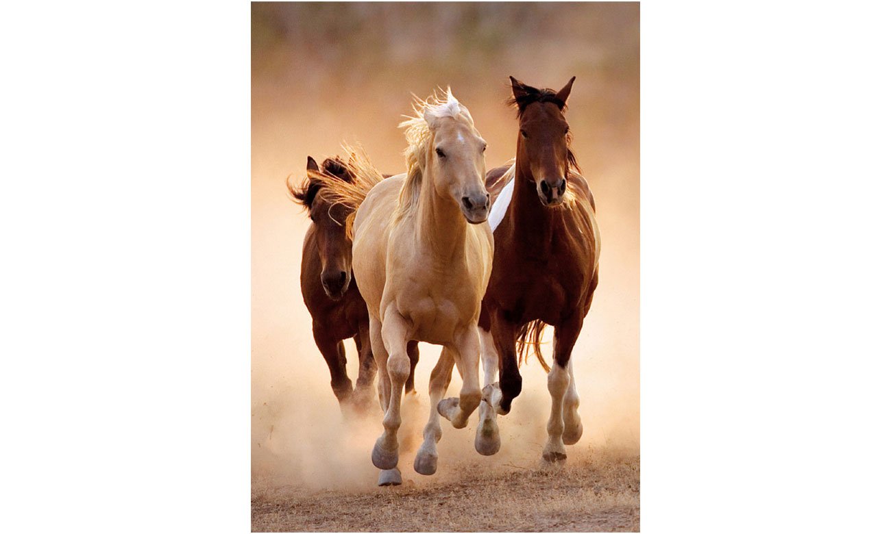Puzzle Clementoni HQ Running horses 39168