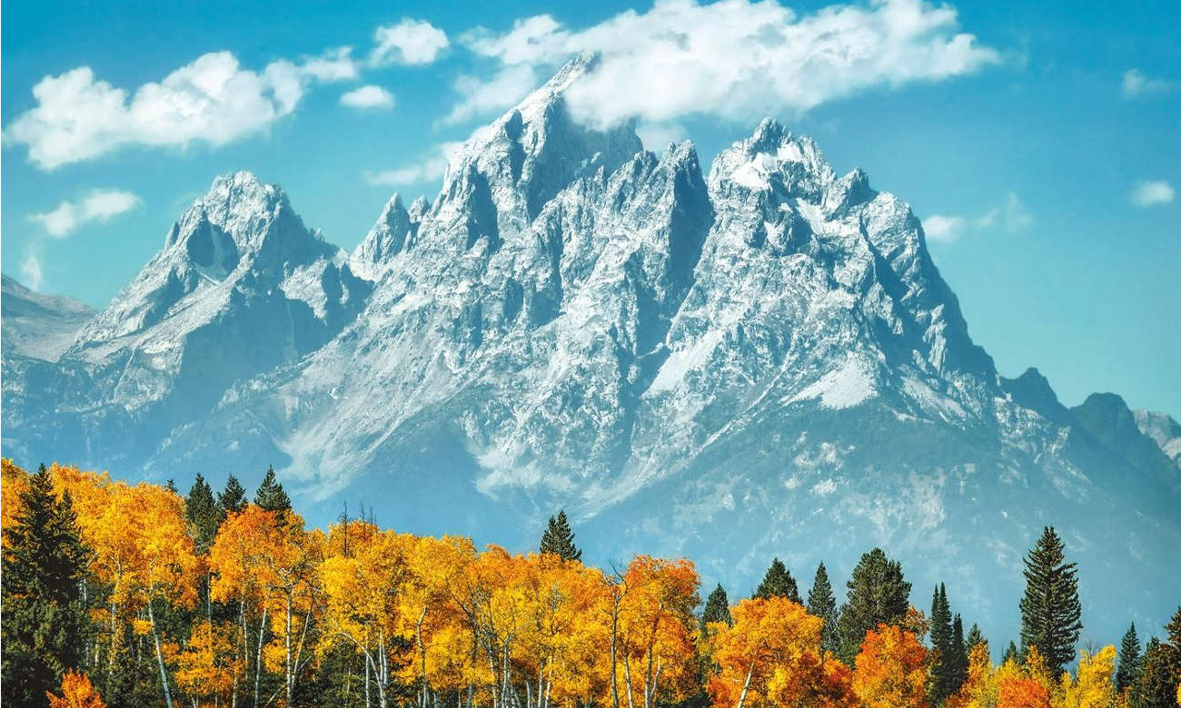 Clementoni Puzzle HQ Grand Teton in fall 35034