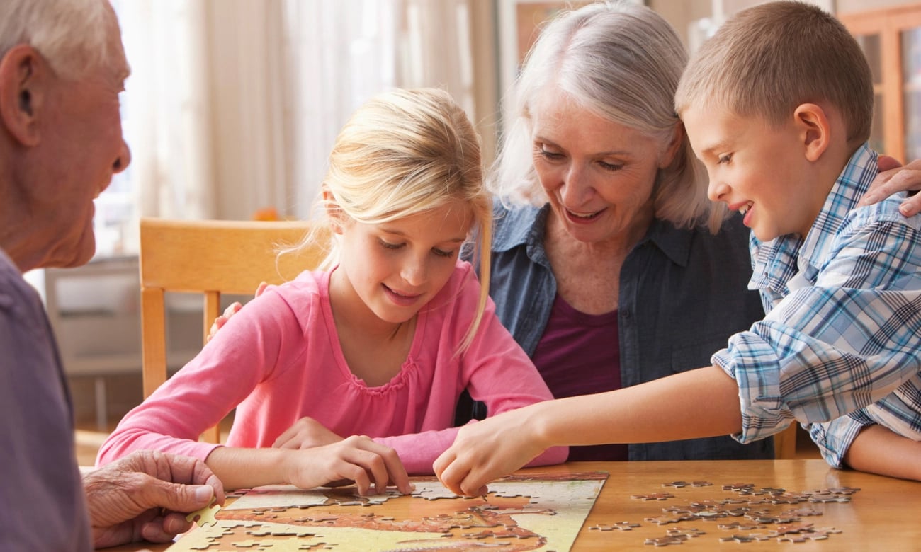 Castorland Golden Irises Puzzle 1000 1500 elementów Sklep