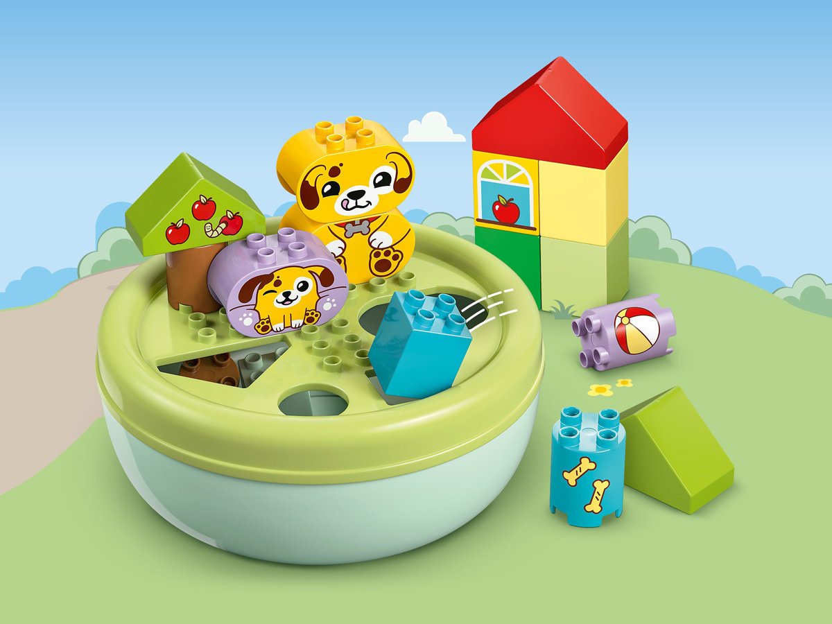 LEGO DUPLO 10441 Sorter kształtów: dom szczeniaczków