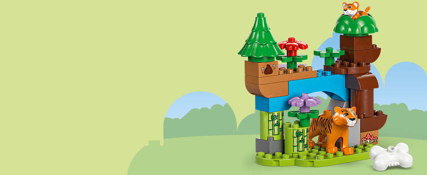 Wiele różnych gatunków