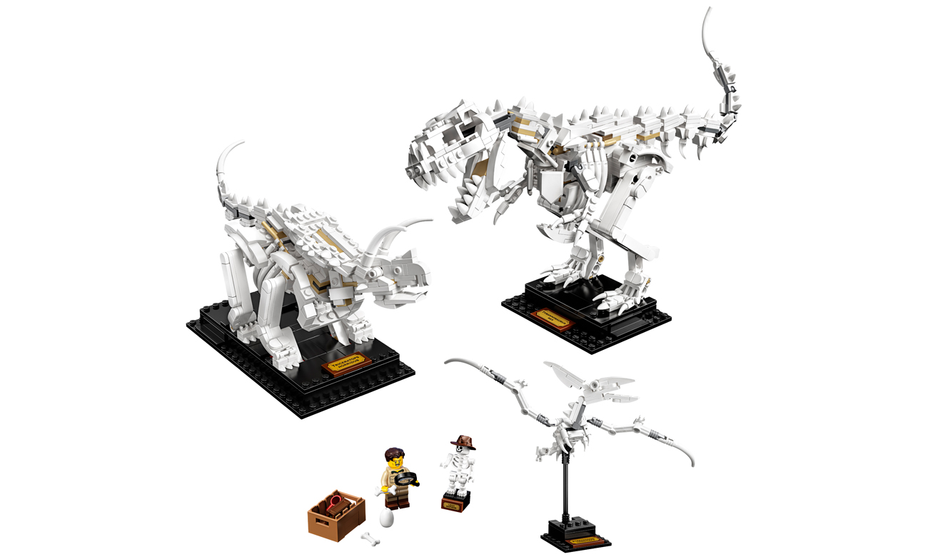 lego 21320