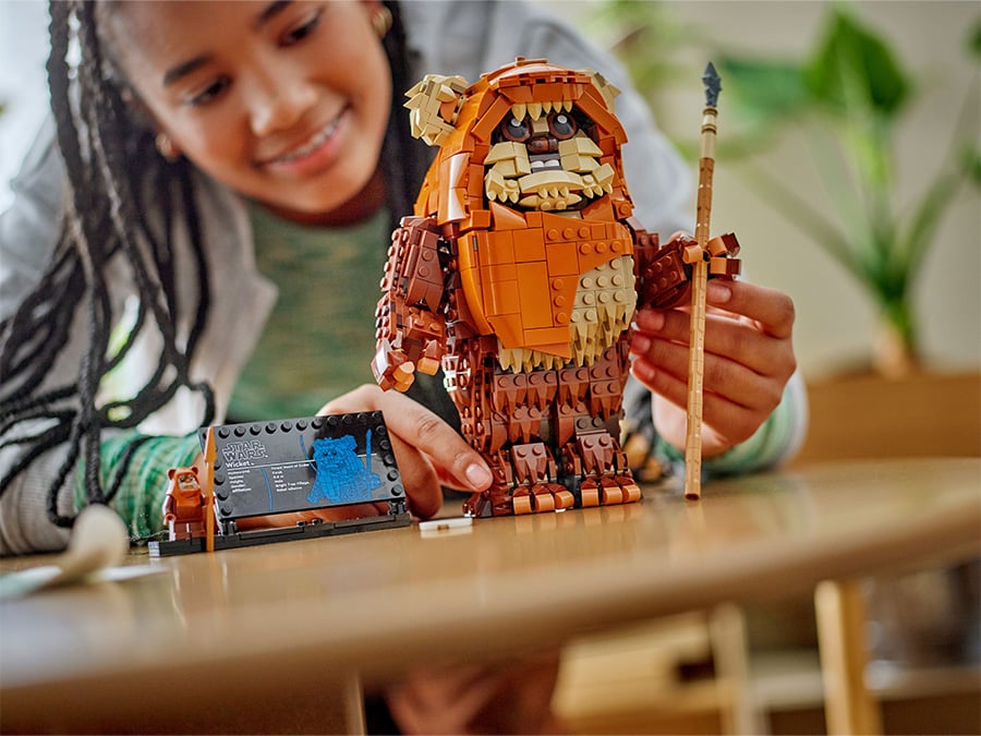Dziecko bawi się złożonym modelem LEGO Wicket i tabliczką informacyjną