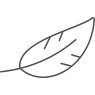 ikona